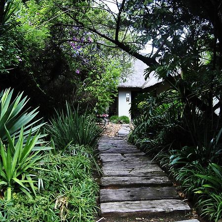 Birch Tree Cottage Johannesburg Buitenkant foto