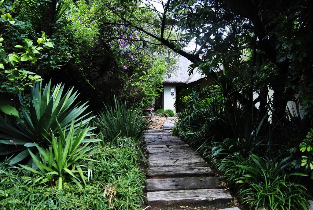 Birch Tree Cottage Johannesburg Buitenkant foto