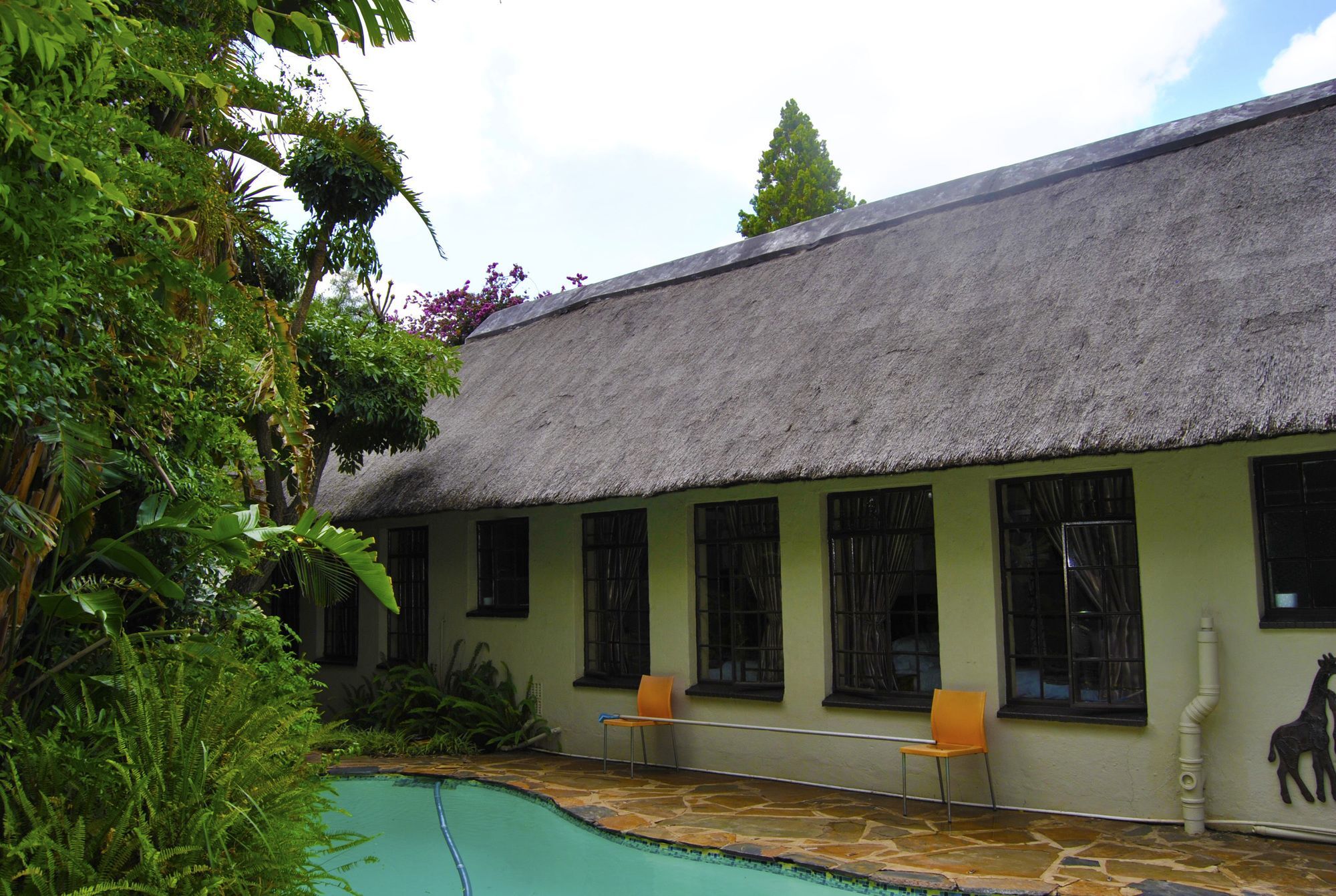 Birch Tree Cottage Johannesburg Buitenkant foto